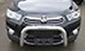 Picture of Holden Captiva 7 76 mm polished alloy low nuge bar