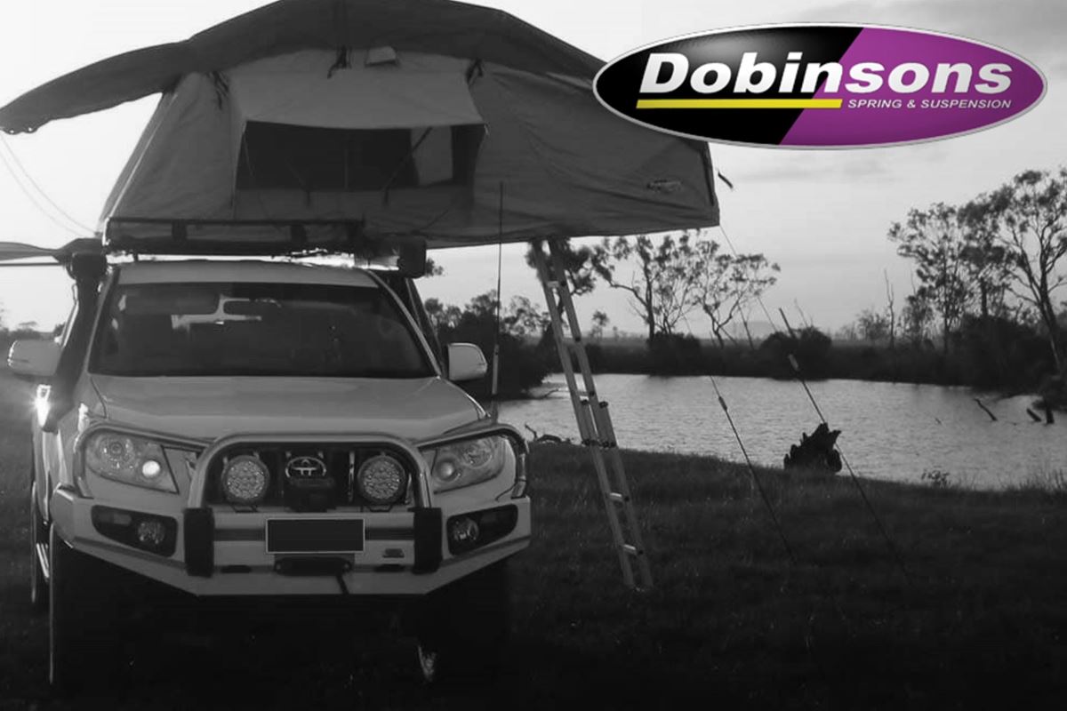 Dobinsons Stainless Loop Bullbars