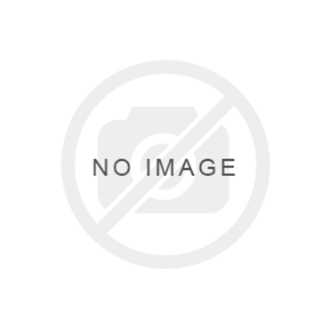 Picture for category Steel Bullbars